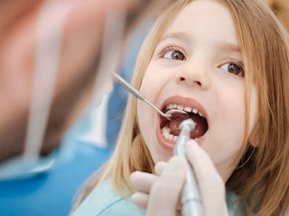 Private experienced dentist running some procedures