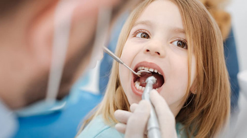 Private experienced dentist running some procedures