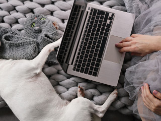 Cozy Woman covered with warm soft merino wool blanket watching movie, relaxing at home with dog . Carefree, comfort lifestyle.
