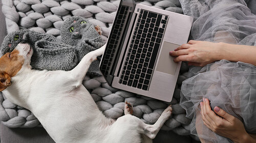 Cozy Woman covered with warm soft merino wool blanket watching movie, relaxing at home with dog . Carefree, comfort lifestyle.