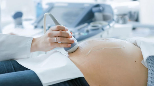 In the Hospital, Close-up Shot of the Doctor Doing Ultrasound /