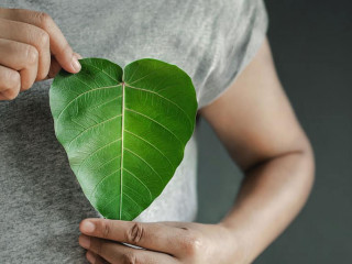 Green Energy, Renewable and Sustainable Resources. Environmental