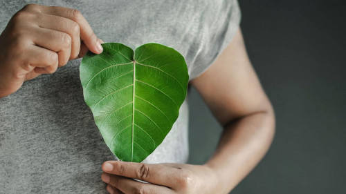 Green Energy, Renewable and Sustainable Resources. Environmental