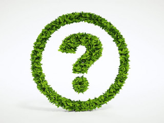 Isolated 3d render natural leaf question symbol with white background