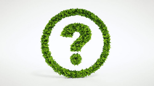 Isolated 3d render natural leaf question symbol with white background