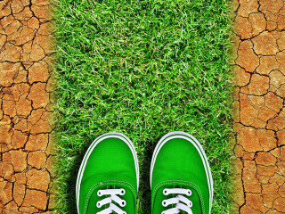 Green sneakers on way from grass in dry cracked earth. Global wa