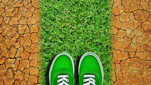 Green sneakers on way from grass in dry cracked earth. Global wa
