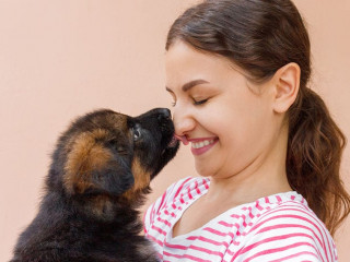 True friendship between girl and puppy who is giving a kiss