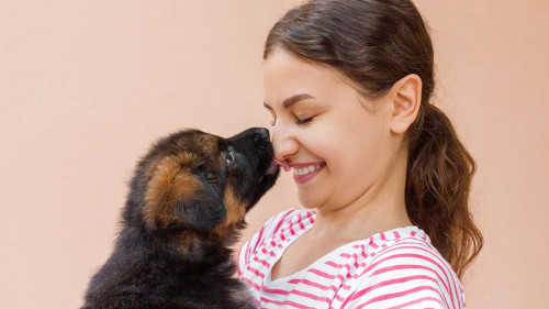 True friendship between girl and puppy who is giving a kiss
