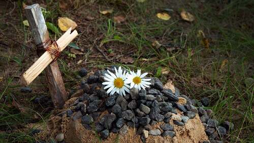 the grave of the family's beloved pet, a sand mound and a hand-made wooden cross, a couple of daisies