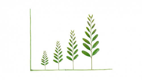 Tree leaves arranged as a green graph / csr / sustainable develo
