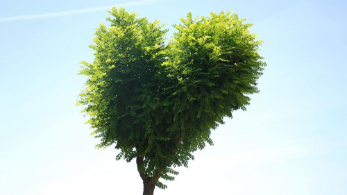 Mother Nature's Heart