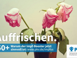 PKV-Impfkampagne_Auffrischen_Motiv Rose.jpg