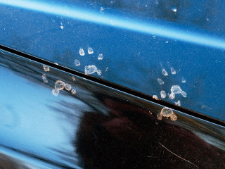 Animal footprints on a dirty car. Cats or martens can chew the w