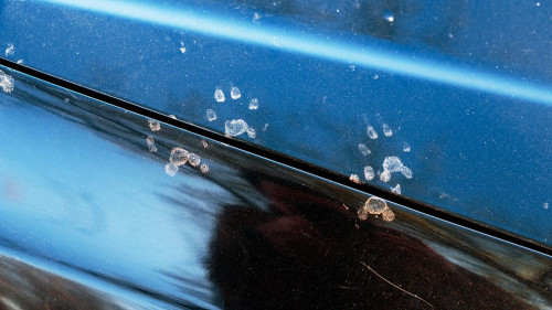 Animal footprints on a dirty car. Cats or martens can chew the w