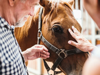 A close-up of senior couple petting a horse.