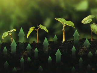 Green business investment. Concept of development and growth of