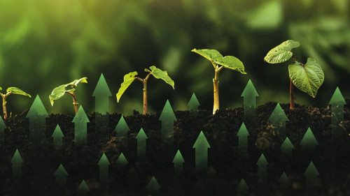 Green business investment. Concept of development and growth of