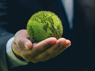 Anzugtraeger-Globus-gruen-519284218-AS-Pcess609