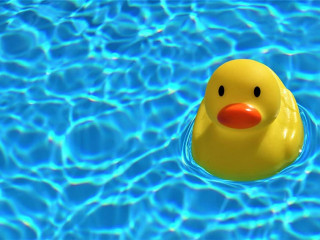 Ente-Swimming-Pool-5287241-AS-Mylene2401