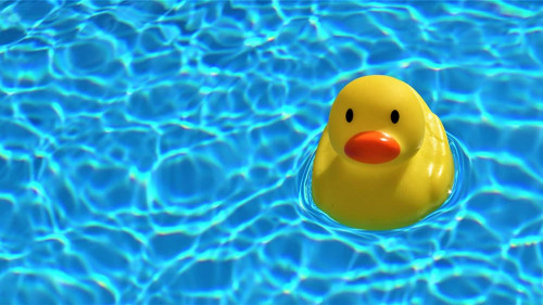 Ente-Swimming-Pool-5287241-AS-Mylene2401