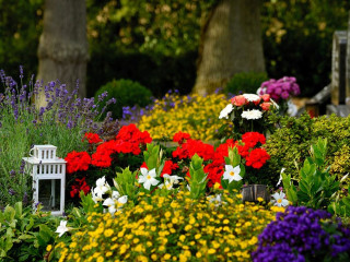 Friedhof-3683273-PB-congerdesign