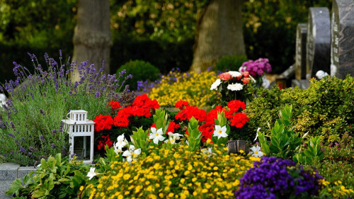 Friedhof-3683273-PB-congerdesign