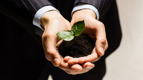 96158189-f9ed-474d-afde-4b29e2d4a8cf