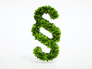 Pflanzen-Paragraf-78419126-AS-malp