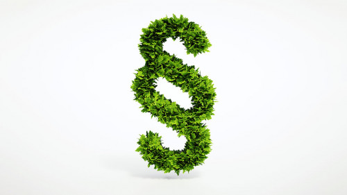 Pflanzen-Paragraf-78419126-AS-malp