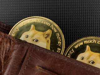 Doge-Coin-436906814-AS-Igor-Faun