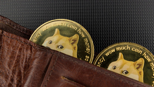 Doge-Coin-436906814-AS-Igor-Faun