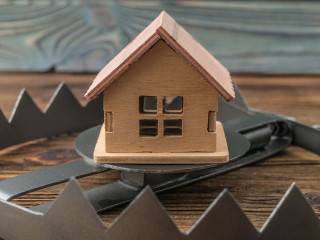 Haus-Baerenfalle-320617501-AS-gerasimov174