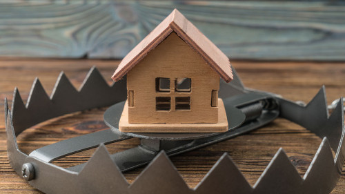 Haus-Baerenfalle-320617501-AS-gerasimov174