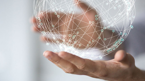 Haende-Globus-60959791-AS-vegefox-com