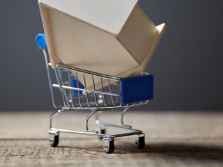 Haus-Einkaufswagen-327020405-AS-oleg-chumakov