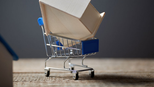 Haus-Einkaufswagen-327020405-AS-oleg-chumakov