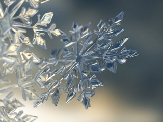 Eiskristall-186195132-AS-lassedesignen