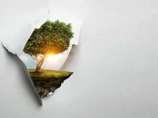 Image of tree and landscape