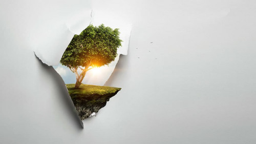 Image of tree and landscape