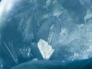 Frost-228547653-AS-EmotionPhoto