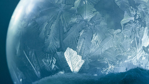 Frost-228547653-AS-EmotionPhoto