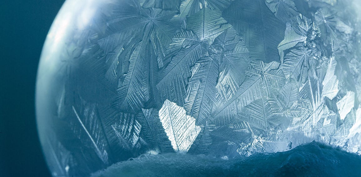 Frost-228547653-AS-EmotionPhoto