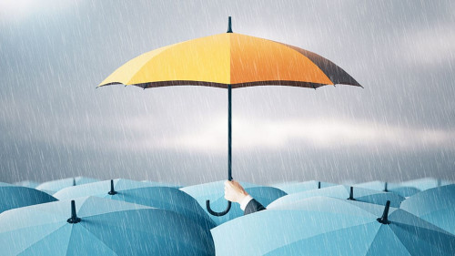 Schirme-498683522-AS-Who-is-Danny