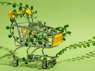 Einkaufswagen-Pfanze-453759225-AS-svitlini