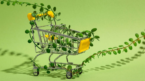 Einkaufswagen-Pfanze-453759225-AS-svitlini