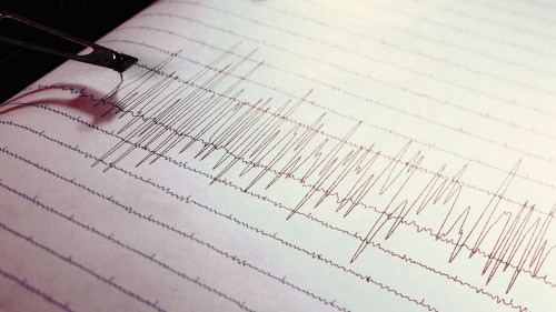 Seismograph-322812523-AS-Anna