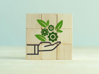 Wuerfel-Hand-Gruen-Zahnraeder-507571788-AS-Parradee