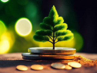 Muenzen-Baum-567925144-AS-Karl