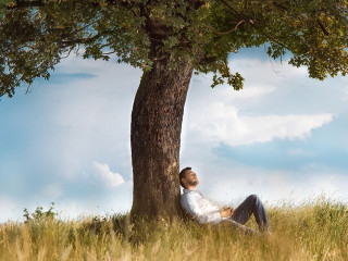 Mann-unter-Baum-84715962-AS-Alen-D